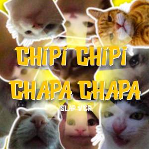 Chipi Chipi Chapa Chapa