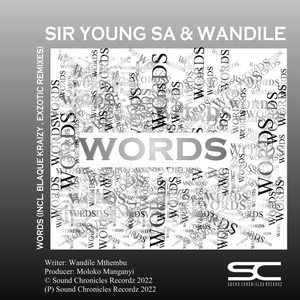 Words (Blaque Kraizy's Ten11 Touch)