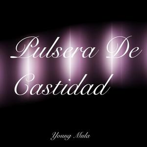 Pulsera De Castidad (Explicit)