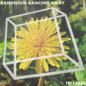 Dandelion Dancing Away