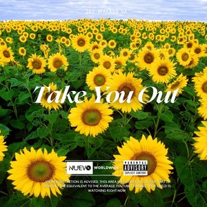 Take You Out (Explicit)