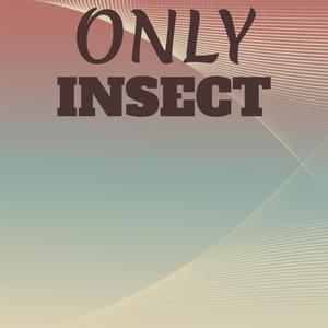 Only Insect