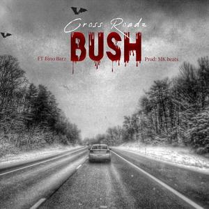 BUSH (feat. bino bars)