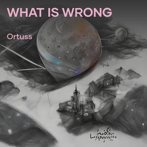 What Is Wrong