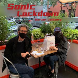 Sonic Lockdown