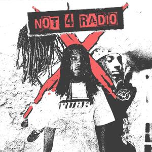 NOT 4 RADIO (Explicit)