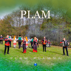 Plam plamna