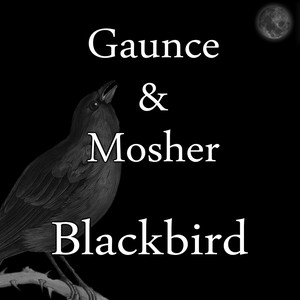 Blackbird