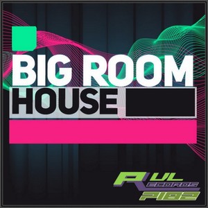 Big Room House