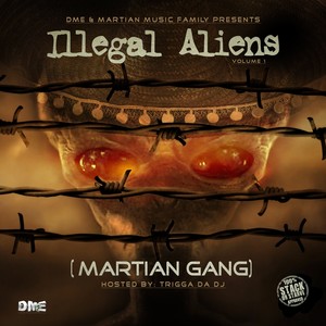 Illegal Aliens