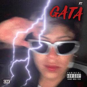 GATA (feat. Rs)