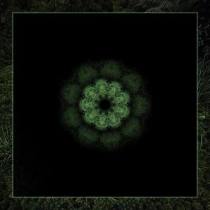 Kaleidoscopic Visions