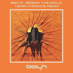 Break the Mold (Terry's Dirty Dub Rub|Explicit)