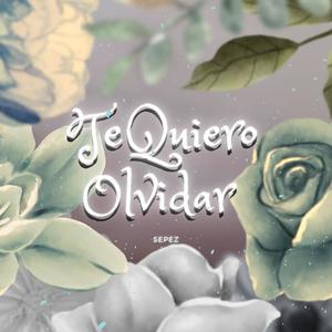 Te Quiero Olvidar