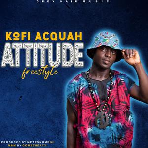 Attitude