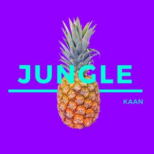 Jungle (Explicit)