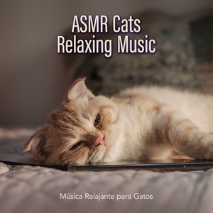 Música Relajante para Gatos - Soledad Envolvente