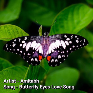 Butterfly Eyes Love Song