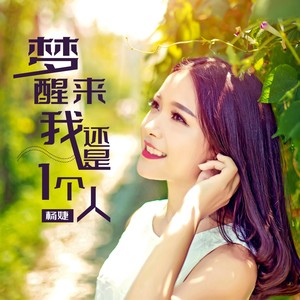 杨婕 - 梦醒来我还是一个人 (伴奏)