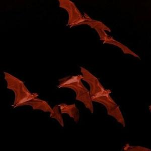 L'APPEL DU VIDE (feat. Scriptz) (Explicit)