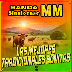 Las Mejores Tradicionales Bonitas