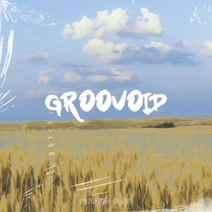 Groovoid