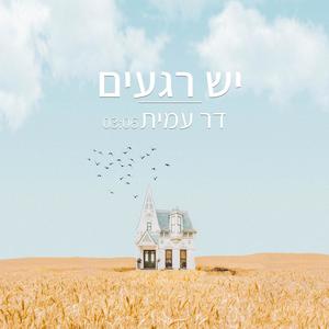 דר עמית - יש רגעים (feat. Danit shlapok)