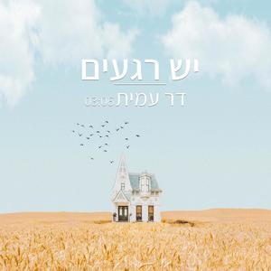 דר עמית - יש רגעים(feat. Danit shlapok)