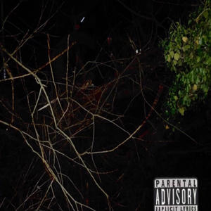 blast zone (Explicit)