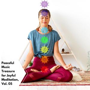 Peaceful Music Treasure For Joyful Meditation, Vol. 05