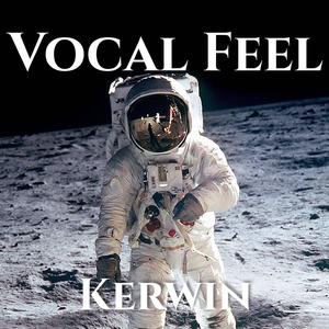 Vocal Feel