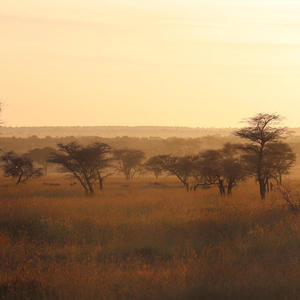 Tanzania