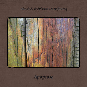 Apoptose