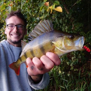 10 Regeln beim Angeln (feat. YoungKD) (Explicit)