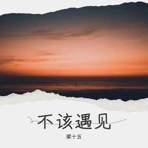 你真的不该遇见我