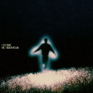 Сердце не обманешь