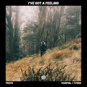 I've Got A Feeling(feat. T. Ferd)