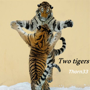 两只老虎remix