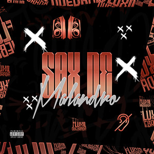 Sax de Malandro (Explicit)