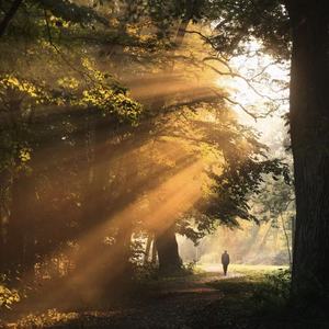 一个人能走多远