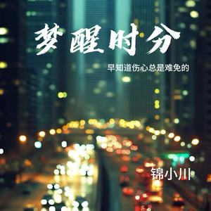 梦醒时分（早知道伤心总是难免的）