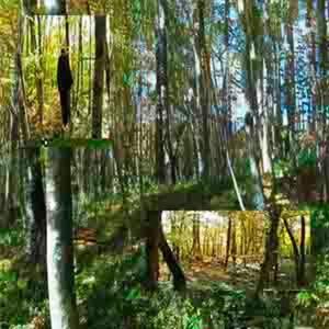 APILEPIC ALLIANCE (feat. JUNKY & CRUSADE MANE) (Explicit)