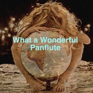 What a Wonderful Panflute