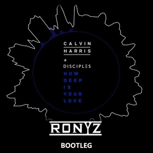 How Deep Is Your Love (Ronyz Bootleg)