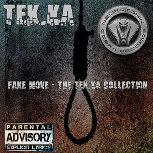 Fake Move (Human Aether Remix)