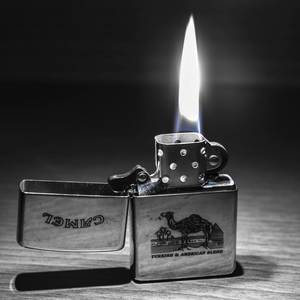 LIGHT IT UP (Explicit)