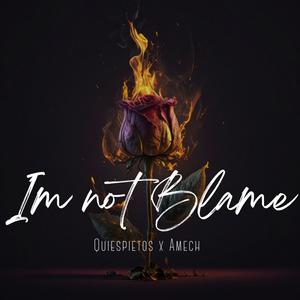 Im not blame (feat. Amech)
