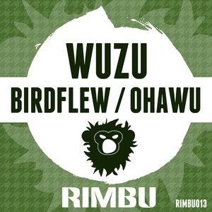 Birdflew / Ohawu - Single