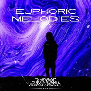 Euphoric Melodies (feat. GROOTEZ, The Knoxman, ExclusiveShaun & MhapenGupTa SA) (Soulful Mix)