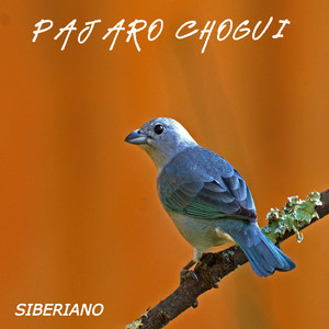 El Pájaro Chogui